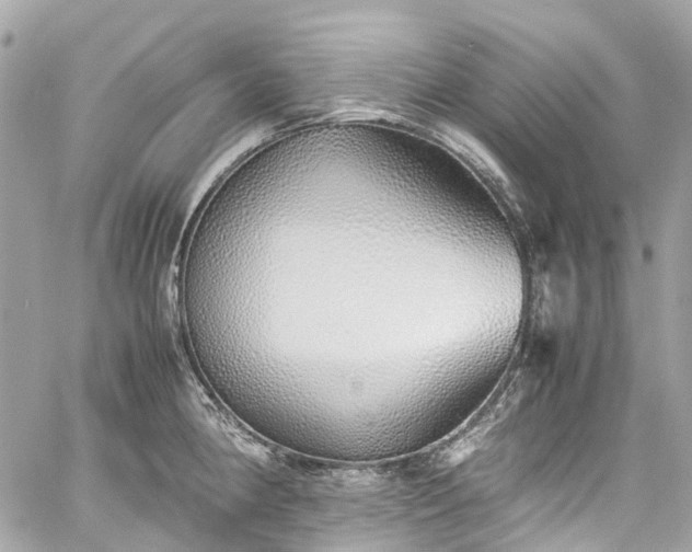 X0000060751190200511141151