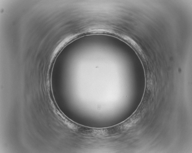 X0000060751191200511141151