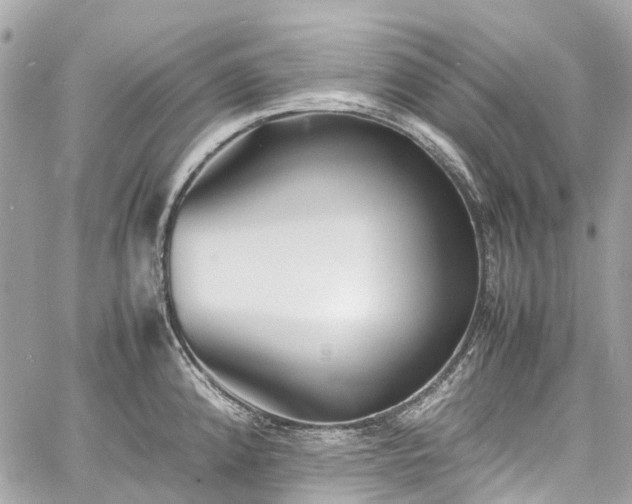 X0000060751192200511141151