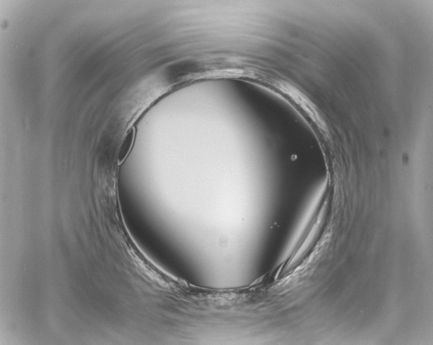 X0000060751193200511141151