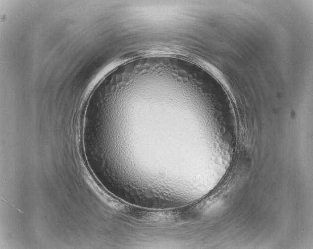 X0000060751195200511141151