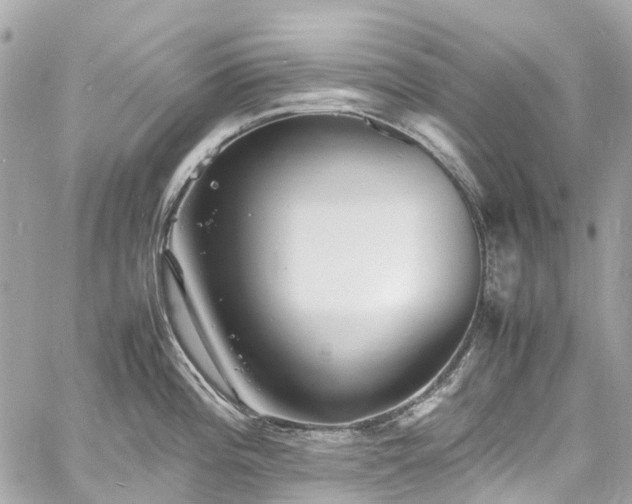 X0000060751196200511141151