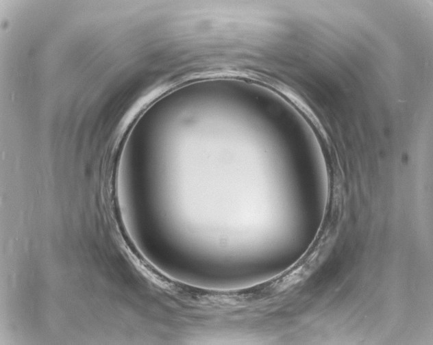 X0000060751197200511141151