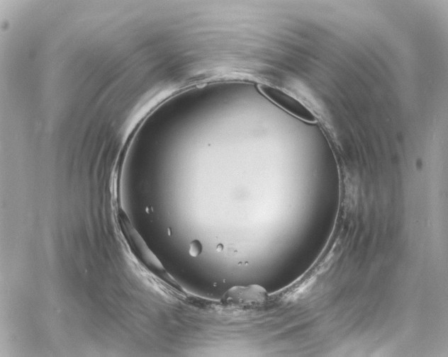 X0000060751198200511141151