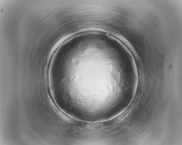 X0000060751199200511141151