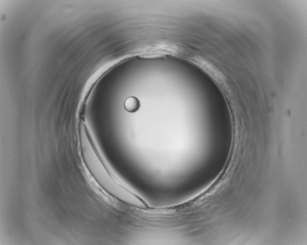 X0000060751200200511141151