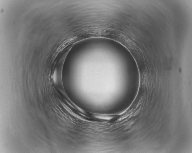 X0000060751202200511141150