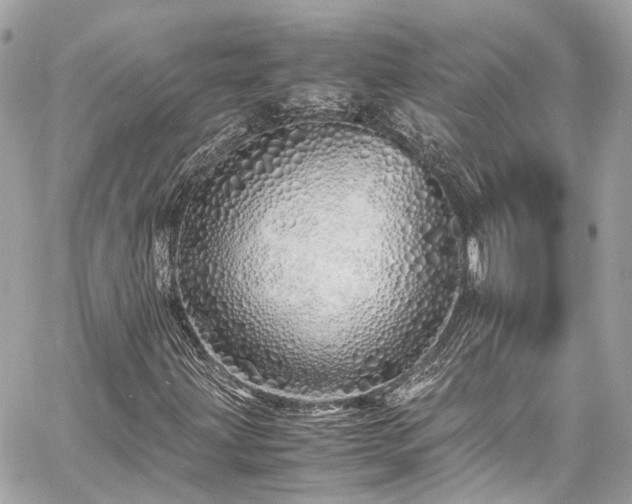 X0000060751203200511141150