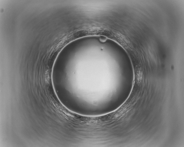 X0000060751204200511141150