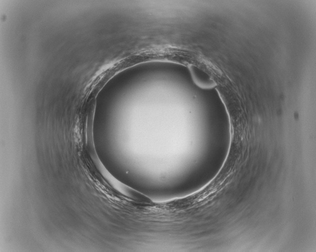 X0000060751206200511141150