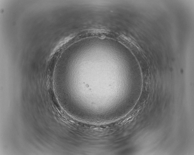 X0000060751207200511141150