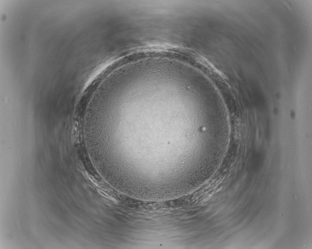 X0000060751208200511141150