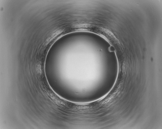 X0000060751209200511141150