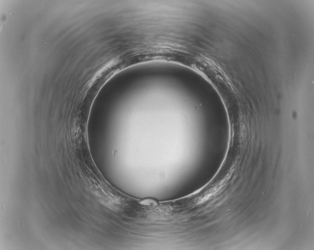 X0000060751210200511141150