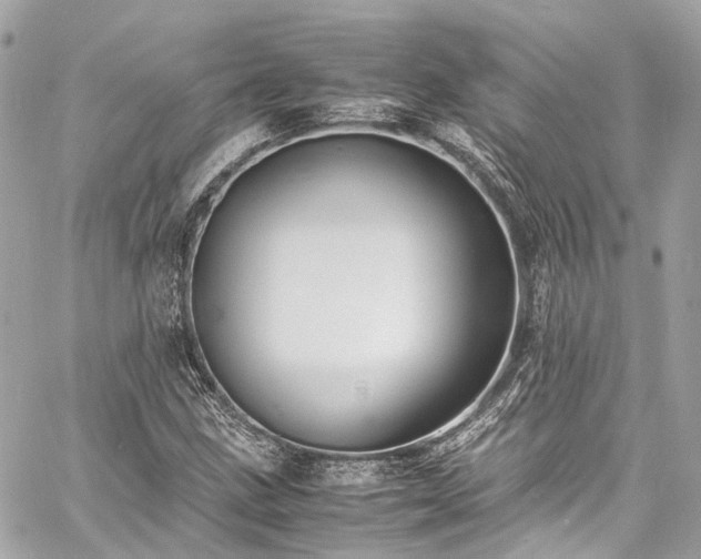 X0000060751211200511141150