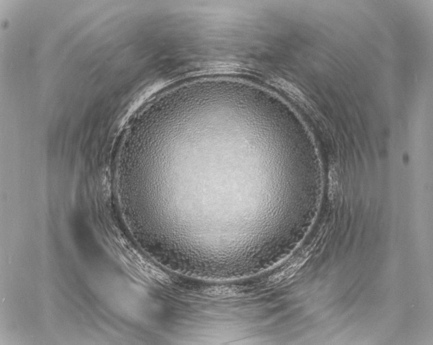 X0000060751212200511141150