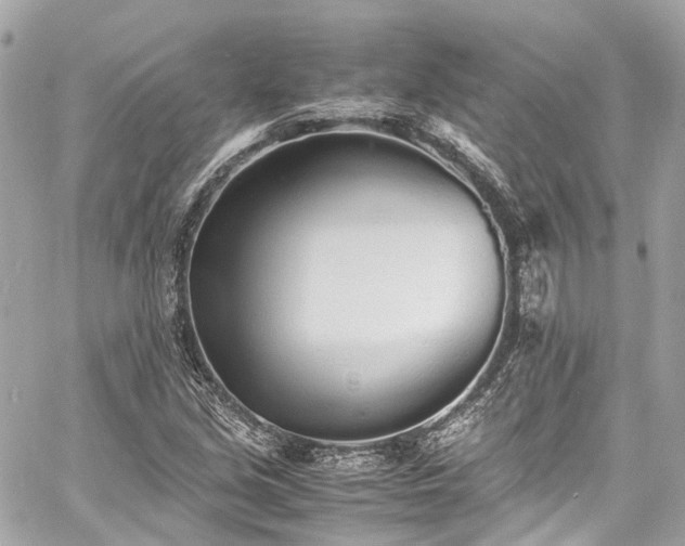 X0000060751213200511141150