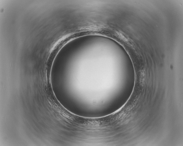 X0000060751214200511141150