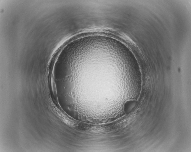 X0000060751216200511141150