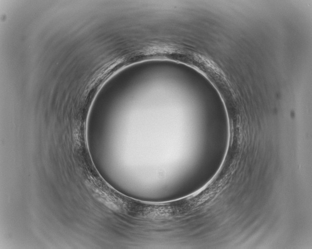 X0000060751217200511141150