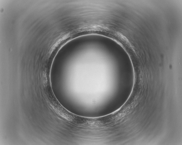 X0000060751218200511141150