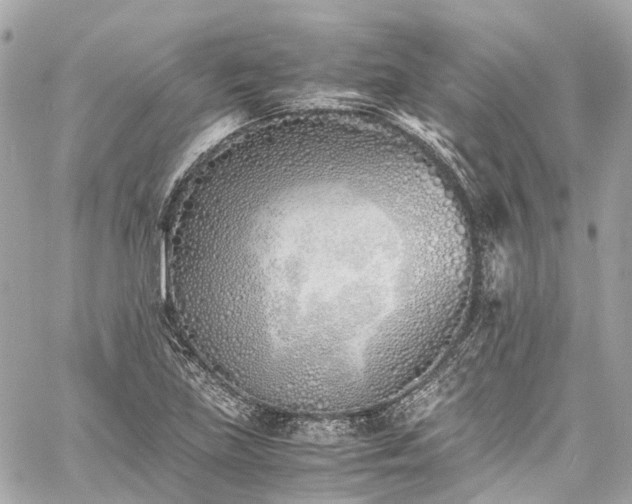 X0000060751219200511141150