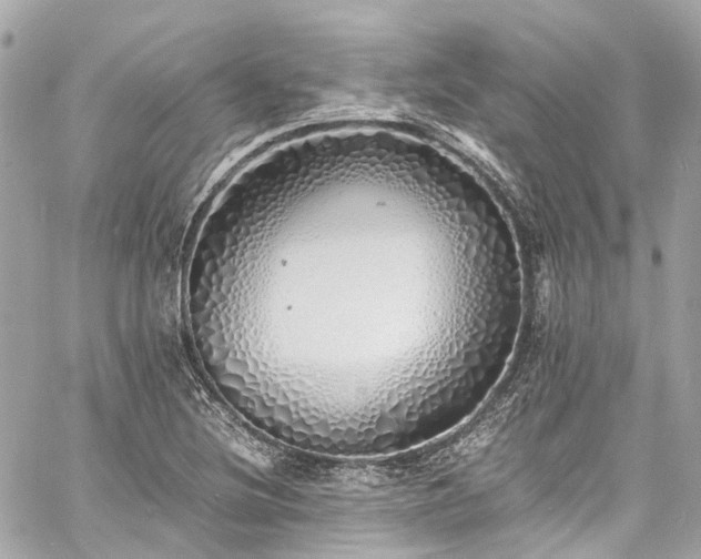 X0000060751220200511141150