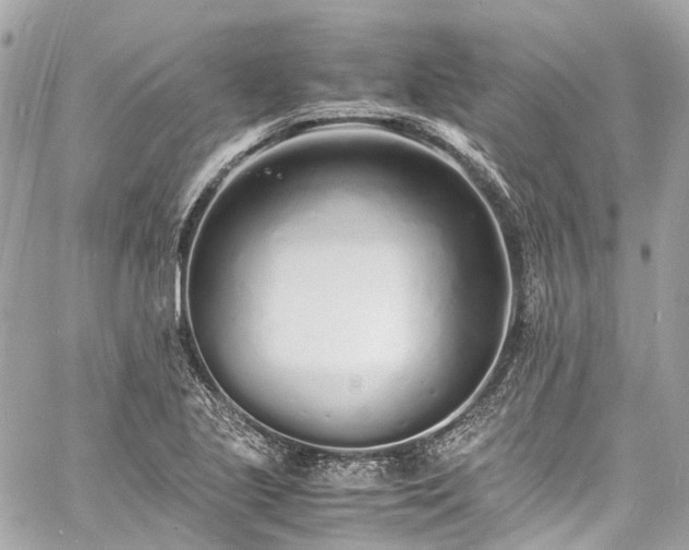 X0000060751221200511141150