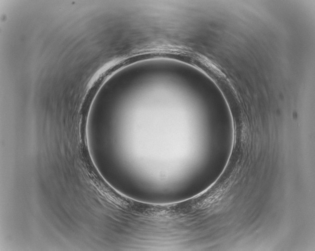 X0000060751222200511141150