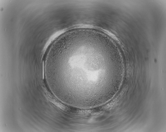 X0000060751223200511141150