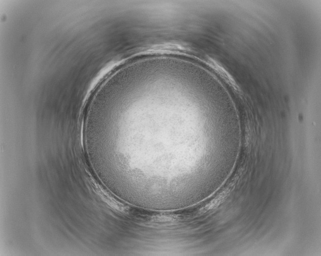 X0000060751224200511141150