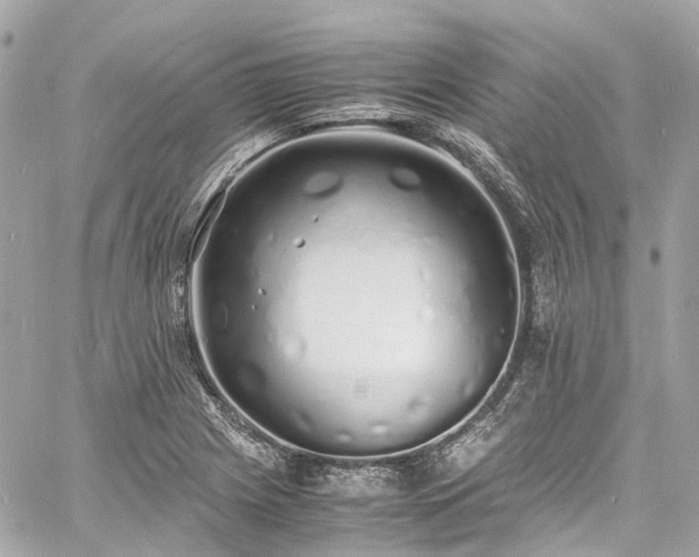 X0000060751225200511141150