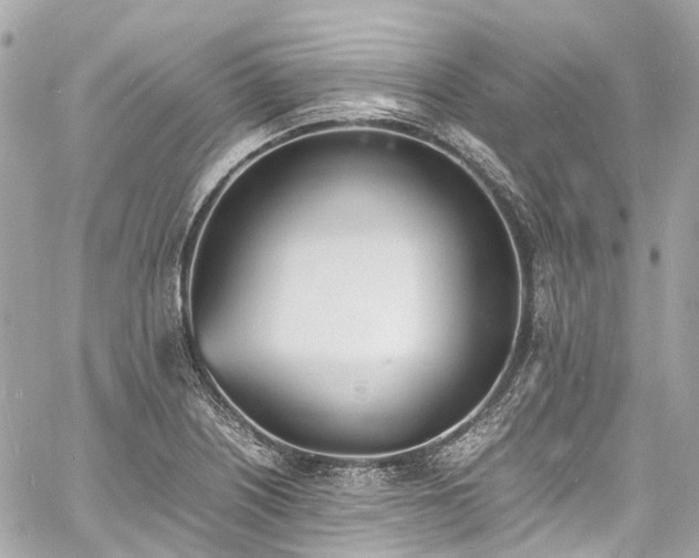 X0000060751226200511141150