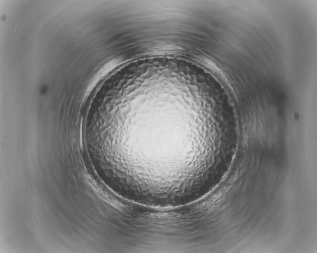 X0000060751227200511141150