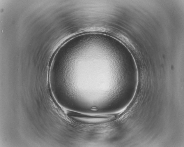 X0000060751228200511141150