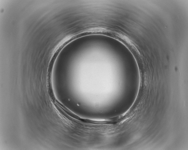 X0000060751229200511141150