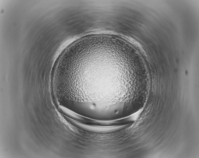 X0000060751231200511141150