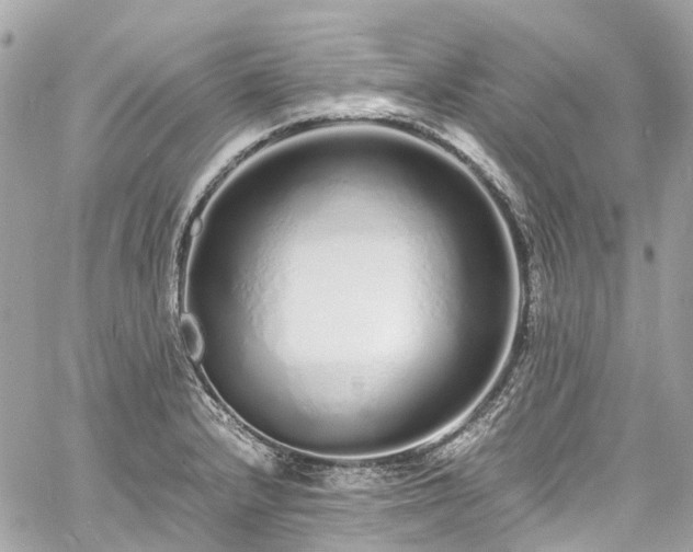 X0000060751232200511141150