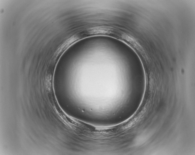 X0000060751233200511141150