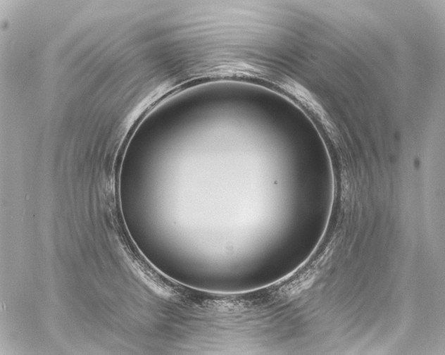 X0000060751234200511141150