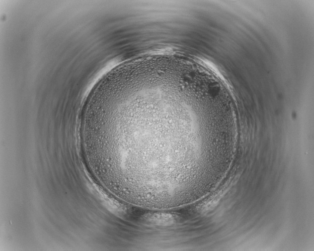 X0000060751235200511141150