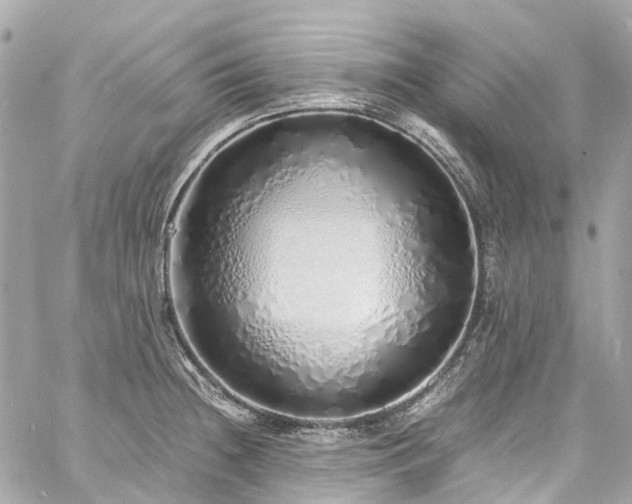 X0000060751236200511141150