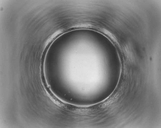 X0000060751237200511141150