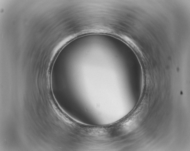 X0000060751238200511141150