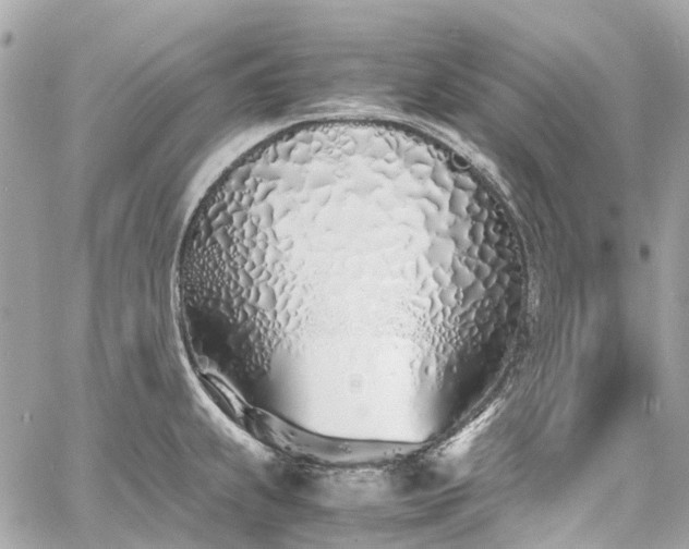 X0000060751239200511141150