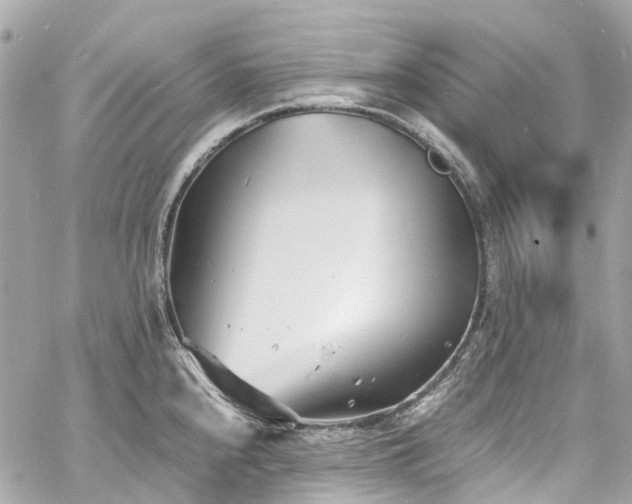 X0000060751240200511141150