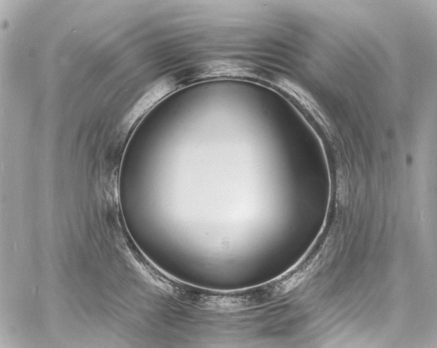 X0000060751241200511141150