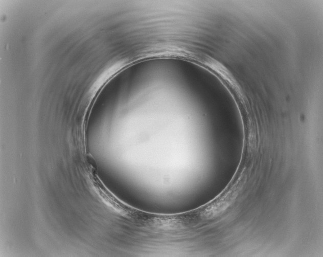 X0000060751242200511141150