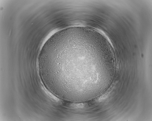 X0000060751243200511141150