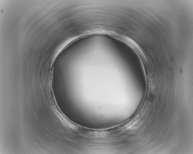 X0000060751244200511141150